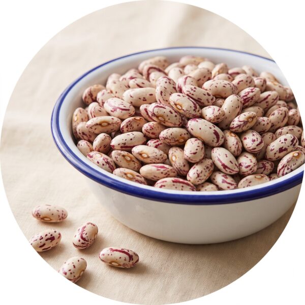 Sugar beans as it arrives