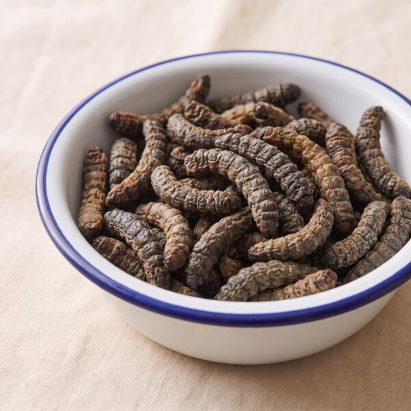 Mopane worms, dried as it arrives