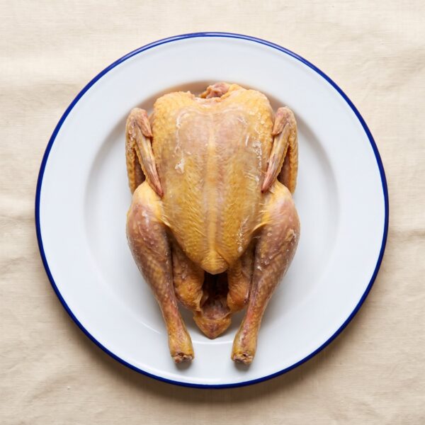 Road runner chicken as it arrives